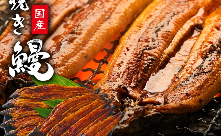【5,990円】五郎藤 国産手焼き鰻蒲焼 10尾入 600g