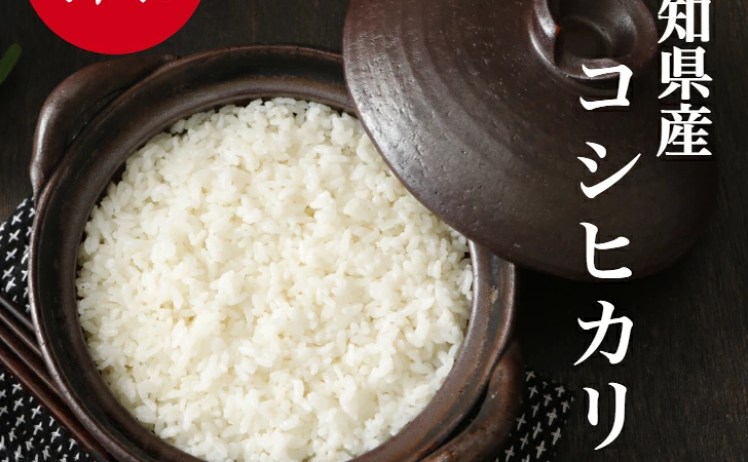 【2,780円】令和8年産 新米 高知県産 コシヒカリ 5kg