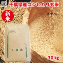 令和8年産 千葉県産コシヒカリ 玄米  30kg