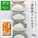 令和7年産 三重県産 コシヒカリ 金印 5kg