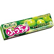 ぷっちょスティック もちっとシャインマスカット 10本セット