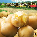 訳あり 北海道産 ニセコ産 北あかり サイズ混み 9kg