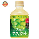 訳あり サントリー プレミアム 2種のマスカット 280mlペットボトル×24本入