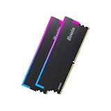 【期間限定セール】Biwin DW100 － DDR5 PC5-48000 32GB（16GB×2枚）メモリが66,104円送料無料