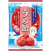 扇雀飴本舗 ひんやりうめ飴 70g×10袋