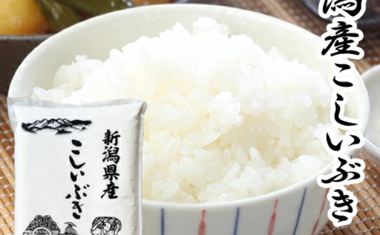 【2,980円】令和7年産 新潟県産 こしいぶき 5㎏