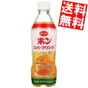 訳あり えひめ飲料 POM（ポン） ポンスパークリング 410mlペットボトル 24本