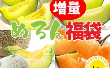 【2,222円】メロン福袋 箱込2.5kg（2-4玉目安）早割