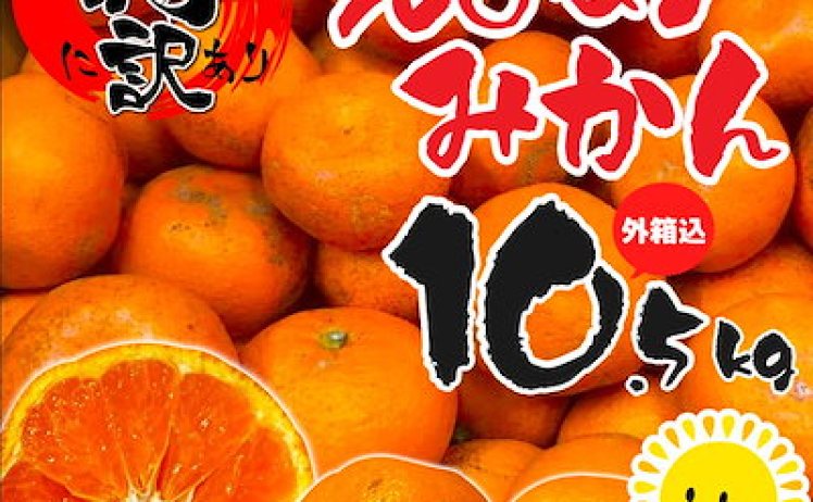 【1,799円】特に訳あり 愛媛みかん 箱込9.5kg+保証分500g  極早生みかん