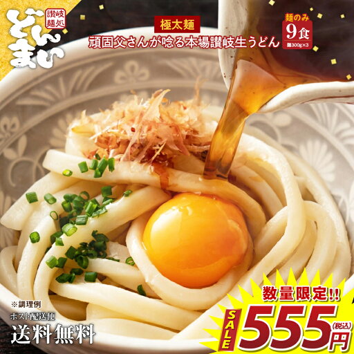【ゲリラセール】【555円】 麺屋どんまい 頑固父さんが唸る 讃岐生うどん 極太麺 9食セット 【送料無料】