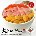 【50%OFF】【20時・先着100名】まぐろ処 一条 大トロ入り海鮮セット(大トロ100g・ウニ100g・イクラ70g) 送料込2,990円
