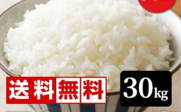 【9,999円】令和7年産新米入り 国産ブレンド米 30kg （10kgx3袋） 訳あり