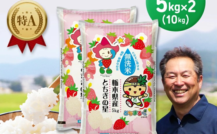 【4,125円】令和7年産 栃木県産 とちぎの星 無洗米  5kg×2袋