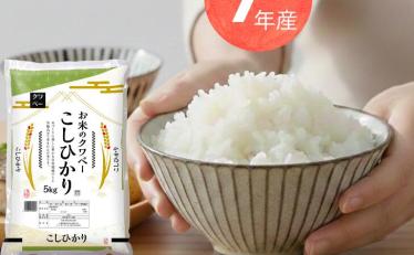 令和7年産 コシヒカリ10割 ブレンド米 5kg