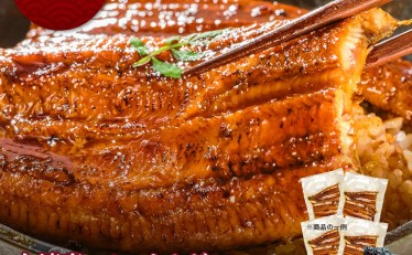 【2,000円】台湾産ニホンウナギ うなぎ蒲焼 訳あり品（約500g）