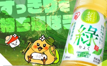 アイリスオーヤマ 緑茶 500ml×24本