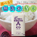 令和7年産 きぬむすめ 岡山県産 精米 10kg(5kg×2袋)