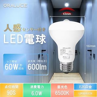 【30%+300円OFF！】ORALUCE LDR6L-G-E26 － 人感センサー 電球 e26口金 60W形相当 自動点灯・消灯 点灯時間90S 明暗センサー付LEDライトが909円～1,239円