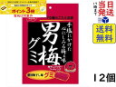 訳あり ノーベル製菓 男梅グミ 38g×12個