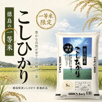 【60%OFF】【令和8年産新米】【5kgあたり1,992円】【5,976円】 令和8年産 徳島県産 コシヒカリ 一等米 単一原料米 15kg（5kg×3個） 【送料無料】