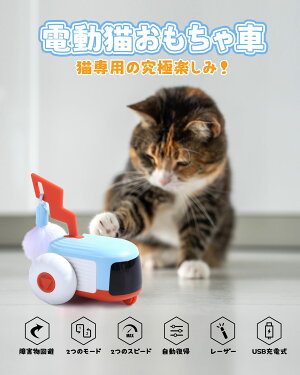 【70%OFF】【2,274円】 Holystone 障害物回避 レーザー機能付き 電動猫おもちゃ ラジコンカー 【送料無料】