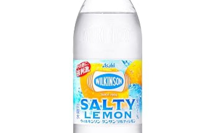 【1,485円】ウィルキンソン タンサン ソルティレモン 500ml 24本