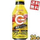 訳あり サントリー ZONe POWER MORNING ENERGY 400mlボトル缶 24本