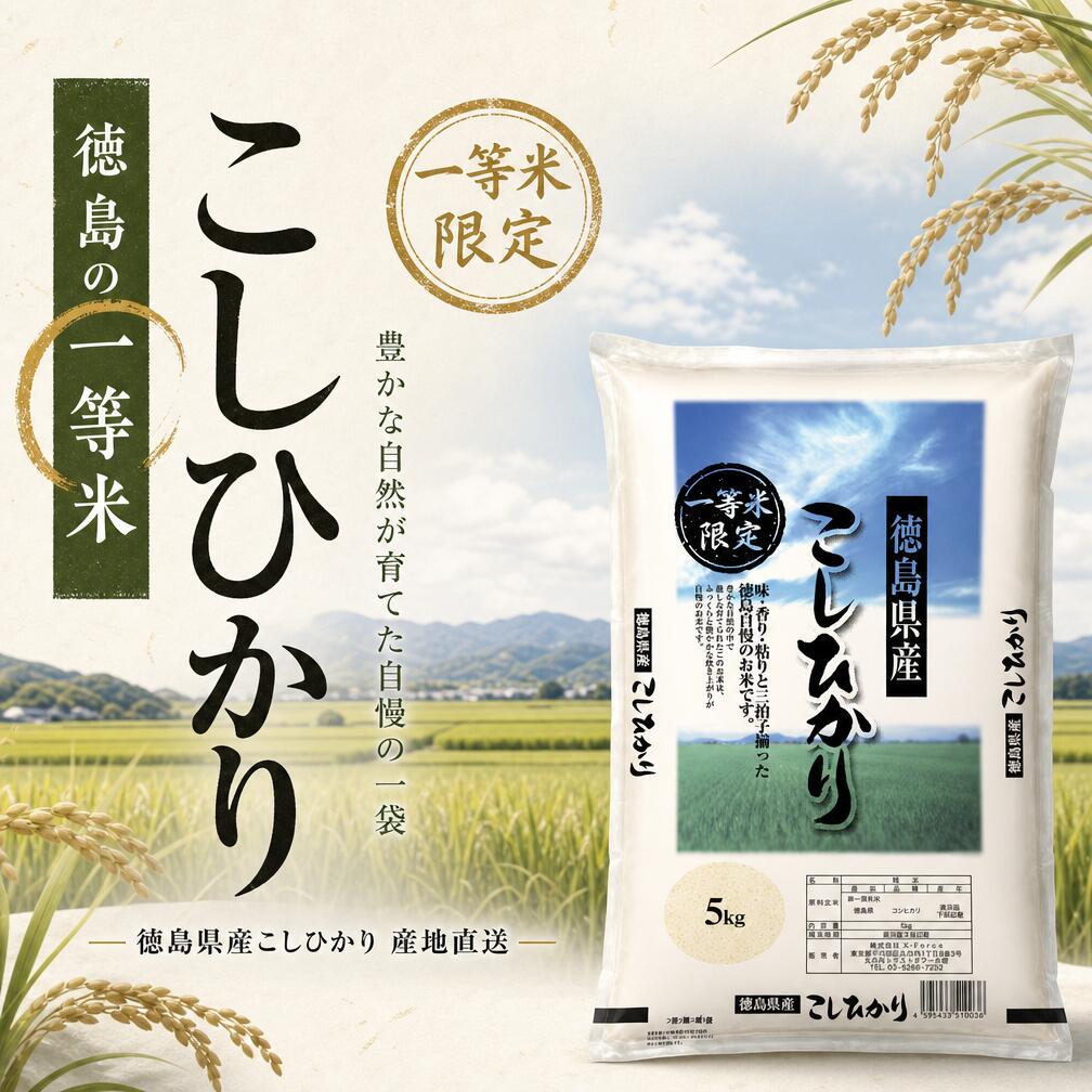 【50%OFF！】徳島県産コシヒカリ 一等米 単一原料米 新米 産地直送 令和8年産 5kgが2,490円送料無料