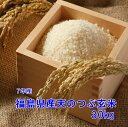 福島県産 天のつぶ玄米 30キロ（玄米・7年産）