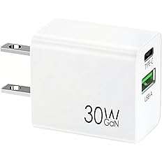 【50%OFF】【499円】 DINUQI 30W PD コンパクト Type-C 2ポート GaN 急速充電器