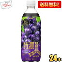 訳あり アサヒ 三ツ矢 特濃グレープスカッシュ 500ml 24本