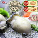 【50%OFF】ジャンボ広島かき1kg（解凍後850g/約26〜35粒）