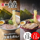 一風堂 本格生麺 ラーメン お取り寄せ 食べ比べ 白丸 赤丸 24食 セット