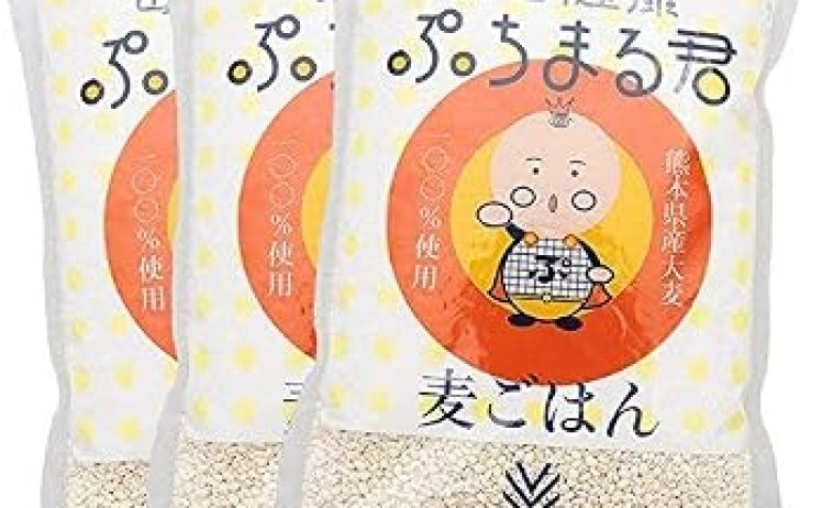 【745円】毎日健康 ぷちまる君 熊本県産 大麦 ×3袋
