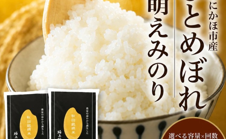 【ふるさと納税】令和7年産 秋田県産 萌えみのり 5kg  5,000円