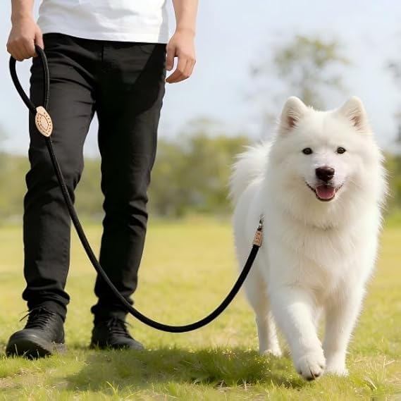 【113円】 Amazon Haul 高耐久 両面反射 ナイロン犬用リード 【送料無料】