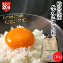 令和7年産 岐阜県産 ハツシモ 精米 10kg