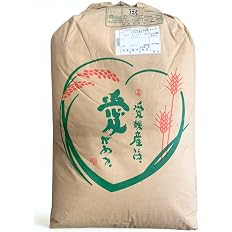 【41%OFF】【12,000円】 令和7年産 愛媛県産 コシヒカリ 玄米 30kg 【送料無料】