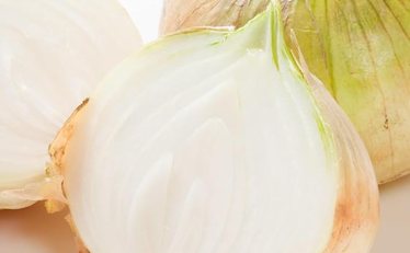 【ふるさと納税】岡山県産 しお風「新たまねぎ」 10kg