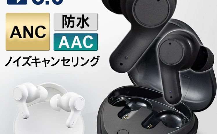【1,001円】アイリスオーヤマ ANC搭載 ワイヤレスイヤホン