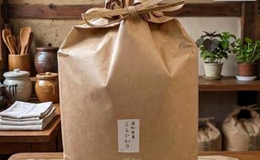 【2,980円】愛知県産 令和7年産 コシヒカリ お米マイスターおすすめ 5㎏ 訳あり