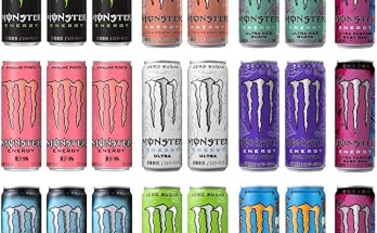 【3,447円】アサヒ飲料 モンスター 10種アソートセット 24本