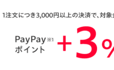 【ポイント＋3%】Yahoo!ショッピングで毎月1日 ファーストデイ