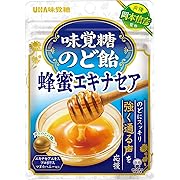 訳あり 味覚糖のど飴 蜂蜜エキナセア 10袋セット