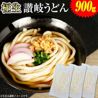 【数量限定】【500円】 さぬき家 本場 香川直送 生麺 讃岐うどん 並切麺 つゆなしセット 6～9人前 【送料無料】