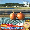 訳あり 淡路島産 うずしお追熟甘玉ねぎ 10kg