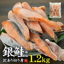 訳あり 無塩 銀鮭切り身 1.2kg 20切前後