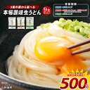 【わけあり】麺屋どんまい 讃岐うどん9食セット(麺300g×3袋) 送料込500円(55.7円/食)【極太麺】