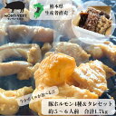 冷凍 熊本県生産直売 生かボイルか選べる新鮮ホルモン4種＆味噌だれセット 1.7kg