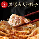 【50%OFF】【20時】一龍堂 黒豚肉入り餃子 100個 約1.9kg 送料込2,680円(26.8円/個)